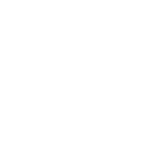 cgi-logo