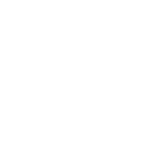 logo-nexecur